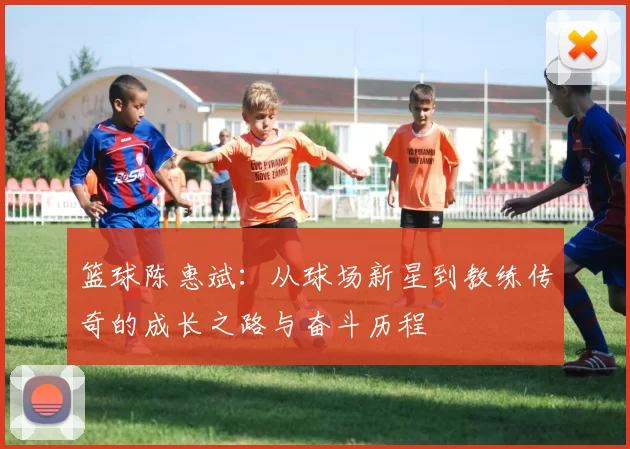 篮球陈惠斌：从球场新星到教练传奇的成长之路与奋斗历程