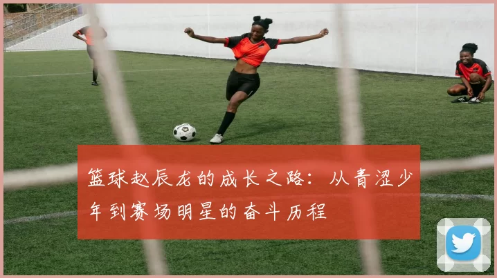 篮球赵辰龙的成长之路：从青涩少年到赛场明星的奋斗历程