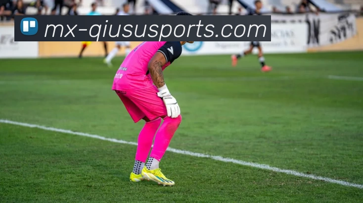 球速体育平台生态图